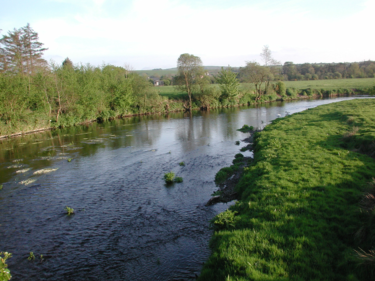 Bandon River 8.jpg 438.8K